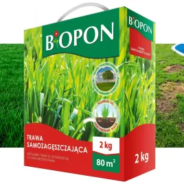 trawa-nasiona-biopon-samozageszczajaca-do-trawnika-dosiewka-80m-2kg