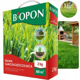 samozageszczajaca-trawa-bopon-mieszanka-2kg-do-renowacji-trawnika-80m