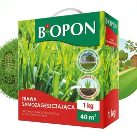 trawa-nasiona-biopon-samozageszczajaca-do-trawnika-dosiewka-40m-1kg