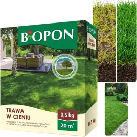 nasiona-traw-bopon-trawa-w-cieniu-na-slabo-naslonecznione-miejsca-500g