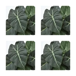 4-szt-sztuczna-roslina-doniczkowa-alocasia-12-cm-fejka