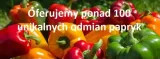 865-papryka-granova-odmiana-inna