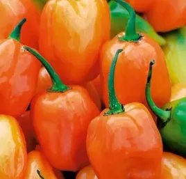 867-papryka-habanero-orange