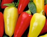 872-papryka-monanta-mix