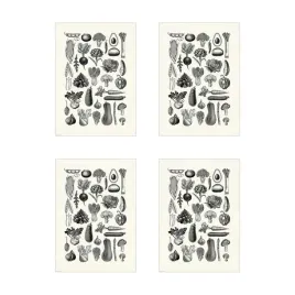 4-szt-bild-plakat-rozne-warzywa-50x70-cm