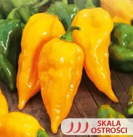 715-papryka-ostra-habanero-yellow