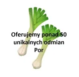 707-por-de-carentan-3-odmiana-inna