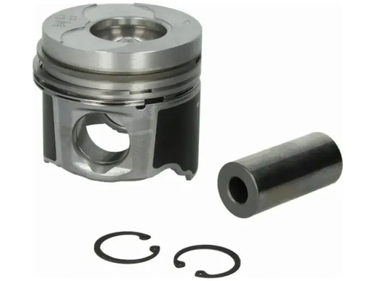 tlok-mahle-022-09-00