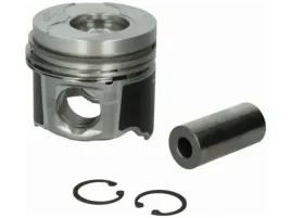 tlok-mahle-022-09-00