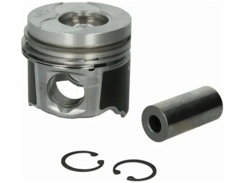 tlok-mahle-022-09-00