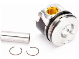 tlok-mahle-030-58-00