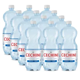 12x-woda-niskonasycona-cechini-muszyna-wysokozmineralizowana-1l-kaucja