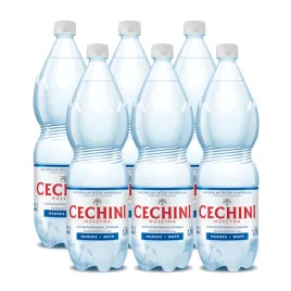 6x-woda-niskonasycona-cechini-muszyna-wysokozmineralizowana-175l-kaucja
