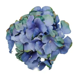 hortensja-wyrobowa-lt-navy