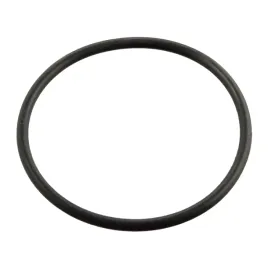uszczelniacz-termostatu-bmw-5-e39-1996-1997-1998-1999-2000-2001-2002-2003