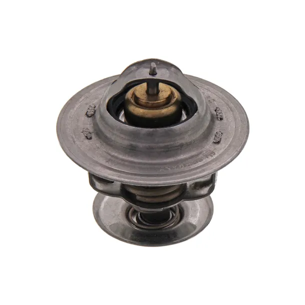 termostat-audi-a2-2000-2001-2002-2003-2004-2005