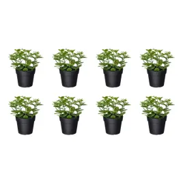 8-szt-sztuczna-roslina-doniczkowa-mieta-9-cm-do-wnetrz-i-na-zewnatrz