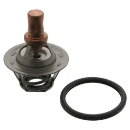 termostat-renault-r19-i-1988-1989-1990-1991-1992