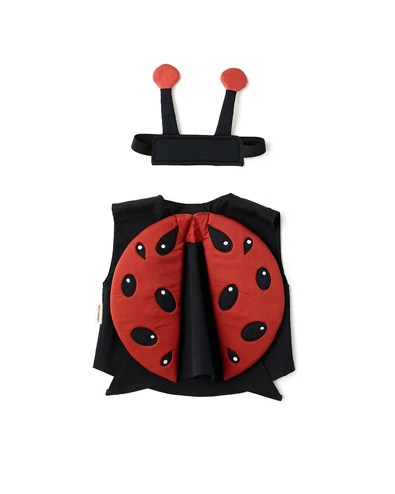 kid-s-concept-stroj-biedronki