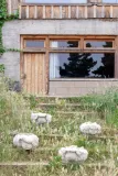 kosz-pink-nose-sheep-lorena-canals-szerokosc-mebla-30-cm