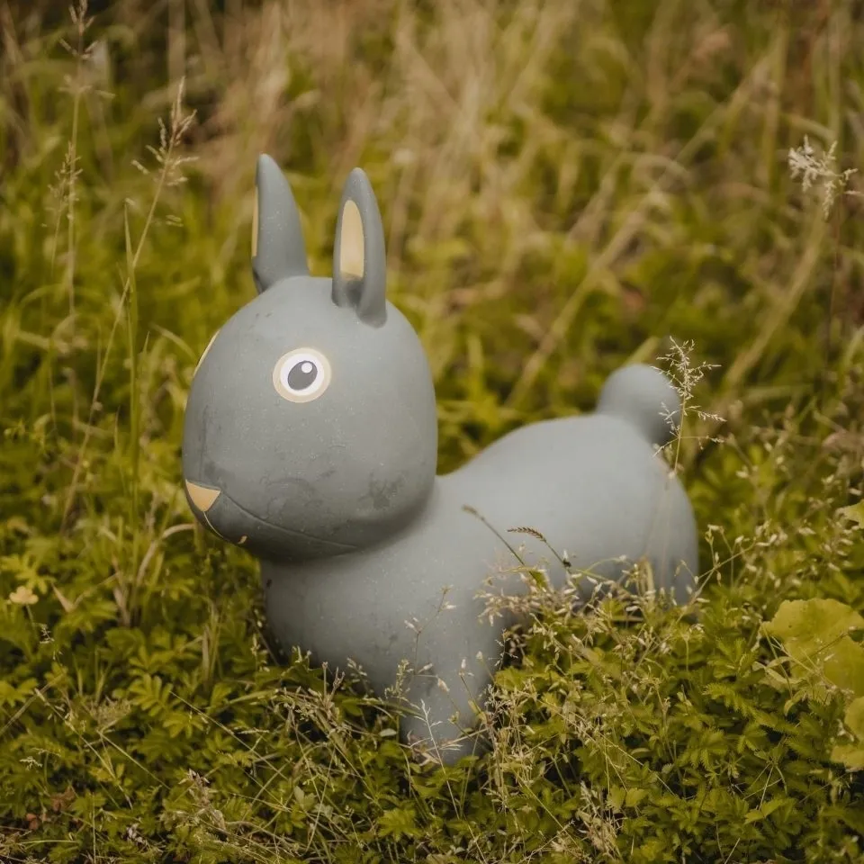 find-that-hippo-skoczek-krolik-stan-nowy