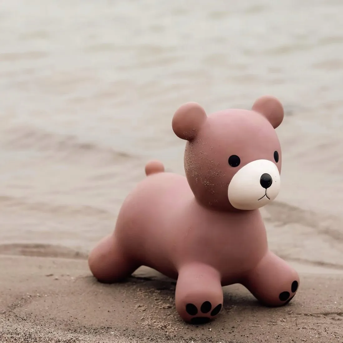 find-that-hippo-skoczek-mis-stan-nowy