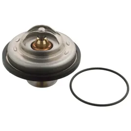 termostat-renault-r21-savanna-1986-1987-1988-1989-1990-1991-1992-1993-1994