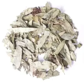 senes-lisc-na-zaparcia-planteon-50g