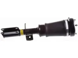 amortyzator-pneumatyczny-denckermann-dsa009g