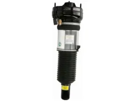 amortyzator-pneumatyczny-arnott-as-2864