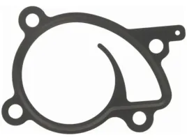uszczelka-pompy-wody-renault-grand-scenic-iii-1-2-1-4-iv-1-2