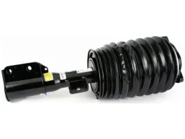 amortyzator-pneumatyczny-arnott-as-3898