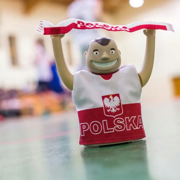 solarny-kibic-polska-kod-producenta-gad01495