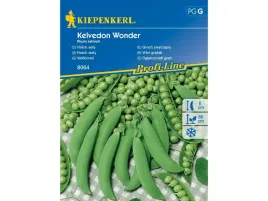 groch-zwyczajny-kalvedon-wonder-obficie-plonuje-nasiona-kiepenkerl