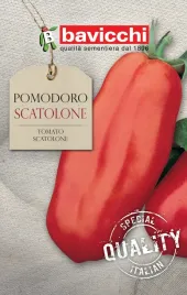 pomidor-scatolone-smaczna-ceniona-odmiana-nasiona-bavicchi