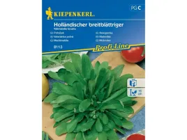 roszponka-nasiona-hollandischer-breitblattriger-na-salatki-kiepenkerl