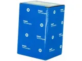 cylinderek-delphi-lw62099