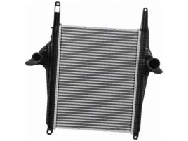 intercooler-man-tgs-ii-9-0-12-4