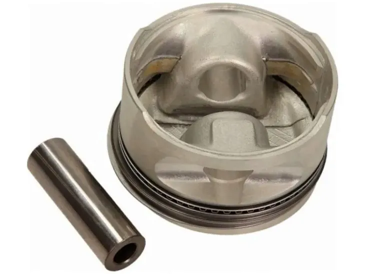 tlok-mahle-011-08-11