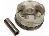 tlok-mahle-011-08-11