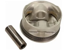 tlok-mahle-011-08-11