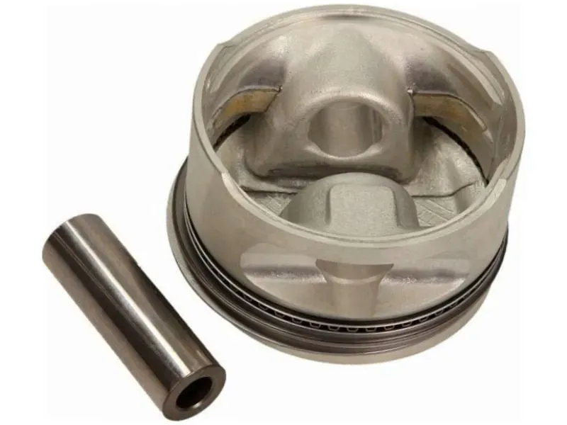tlok-mahle-011-08-11