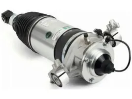 amortyzator-pneumatyczny-arnott-as-3167