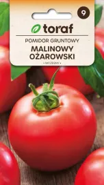 ozarowski-pomidor-malinowy-nasiona-pomidorow-odporny-wczesny-05g
