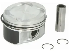tlok-mahle-028-03-12
