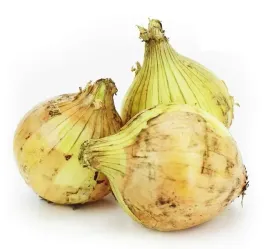 cebula-zolta-swieza-bio-ekologiczna-polska-swieze-eko-okolo-1kg