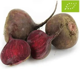 burak-czerwony-swiezy-bio-ekologiczny-polska-swieze-polski-okolo-1kg