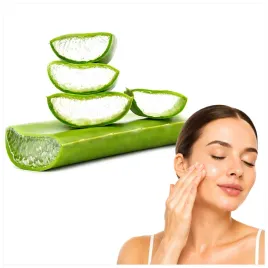 aloes-swiezy-bio-lisc-aloesu-ekologiczny-jakosc-naturalny-planet
