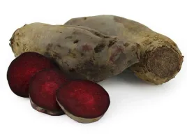 buraki-cwiklowe-podluzne-swiezy-burak-ekologiczny-bio-dlugi-na-sok