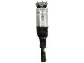 amortyzator-pneumatyczny-arnott-as-3070